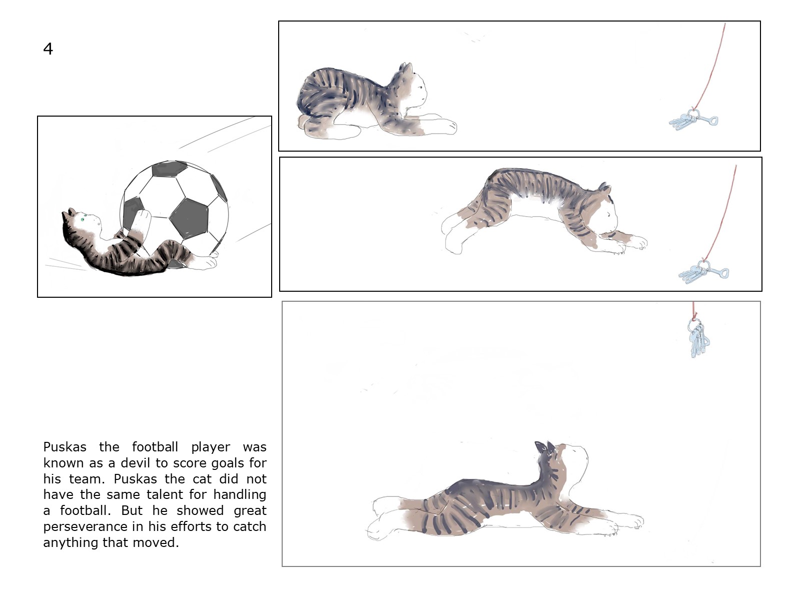 cat and football