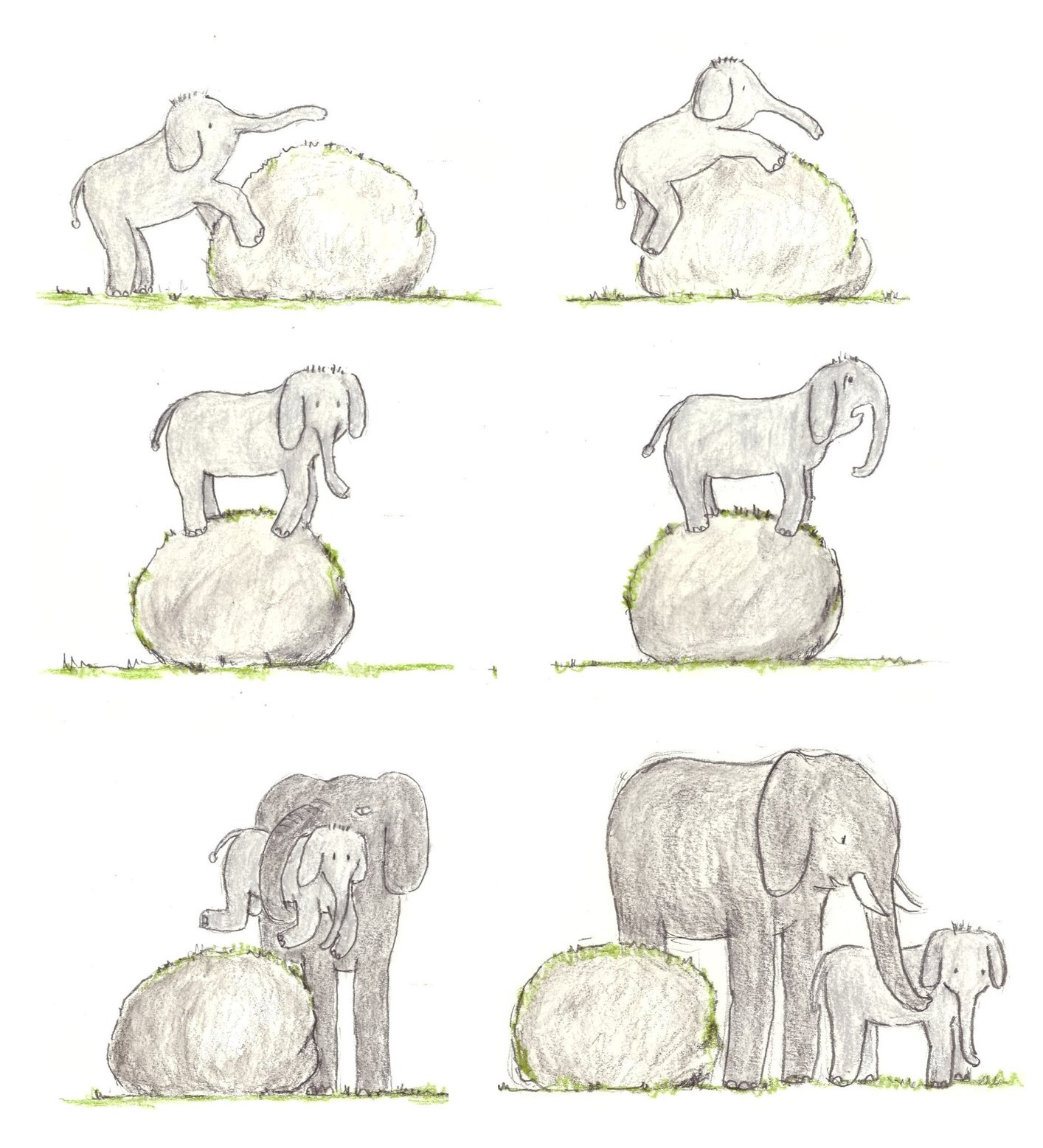 elefantunge med problem