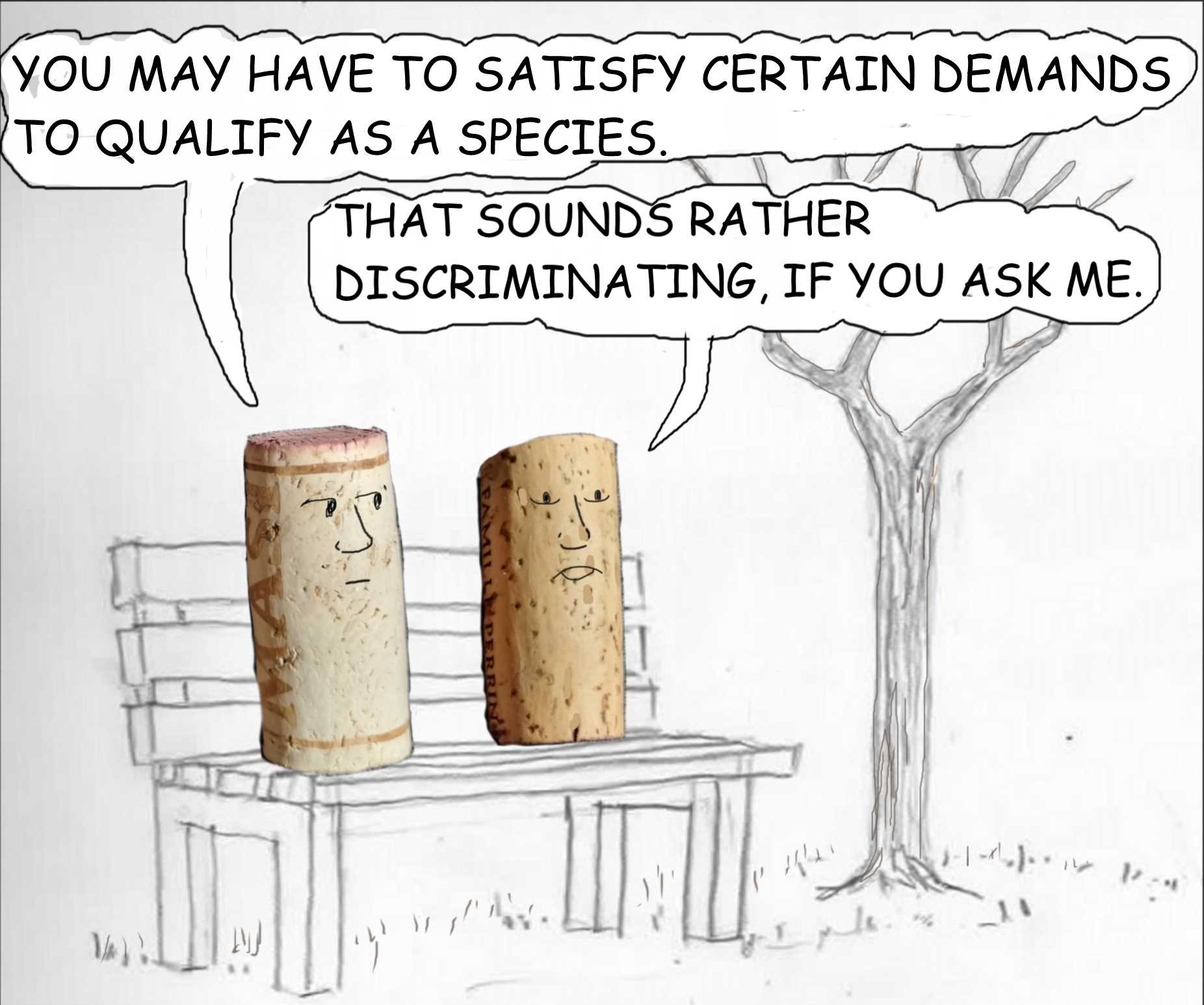 corks discussing divorce