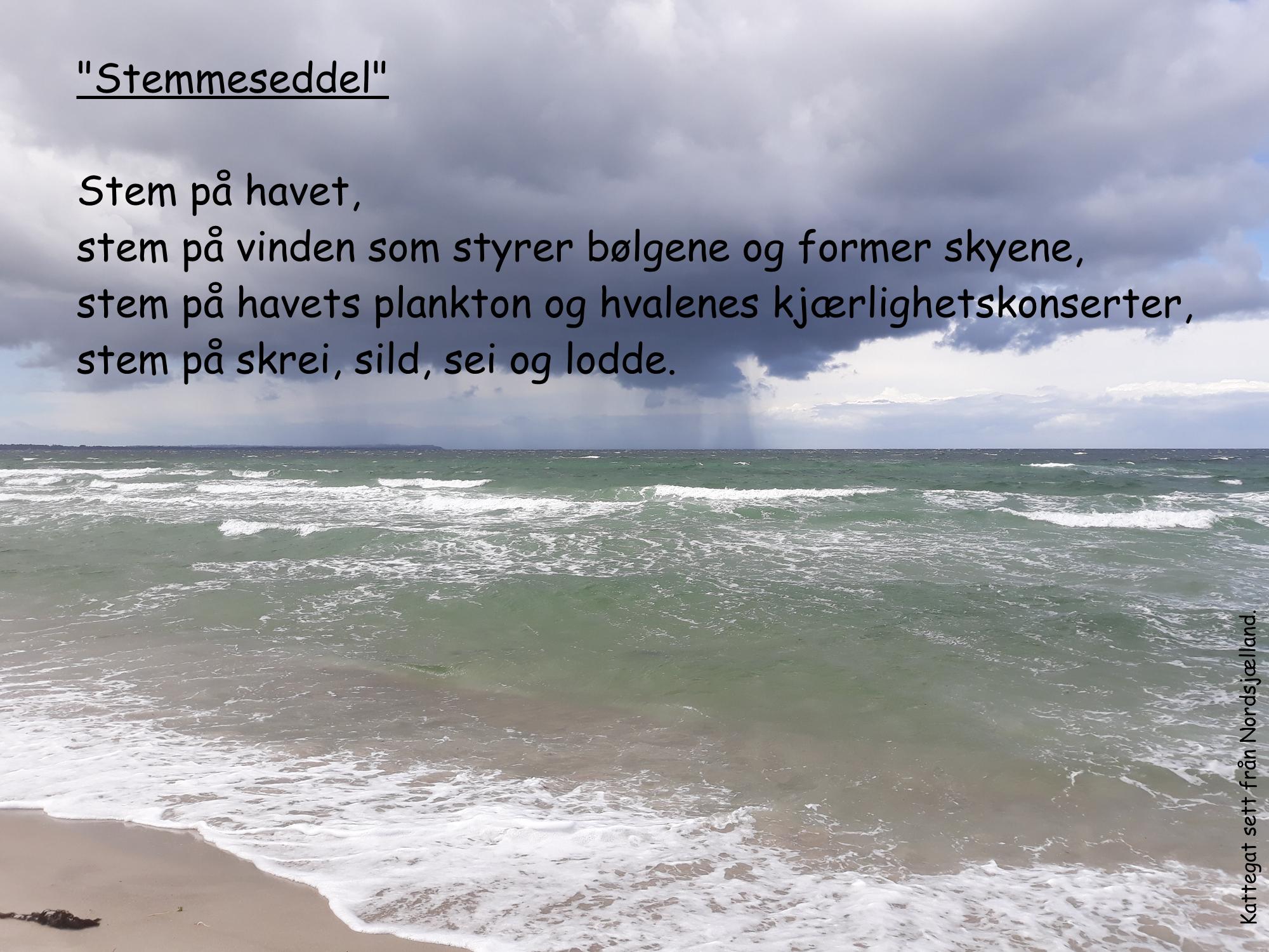 Havet