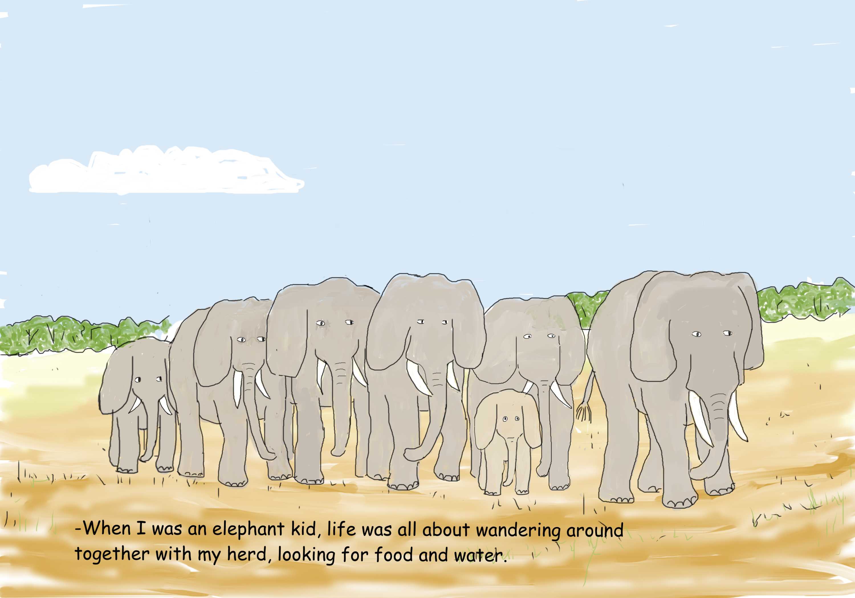 herd of elephants with a kid