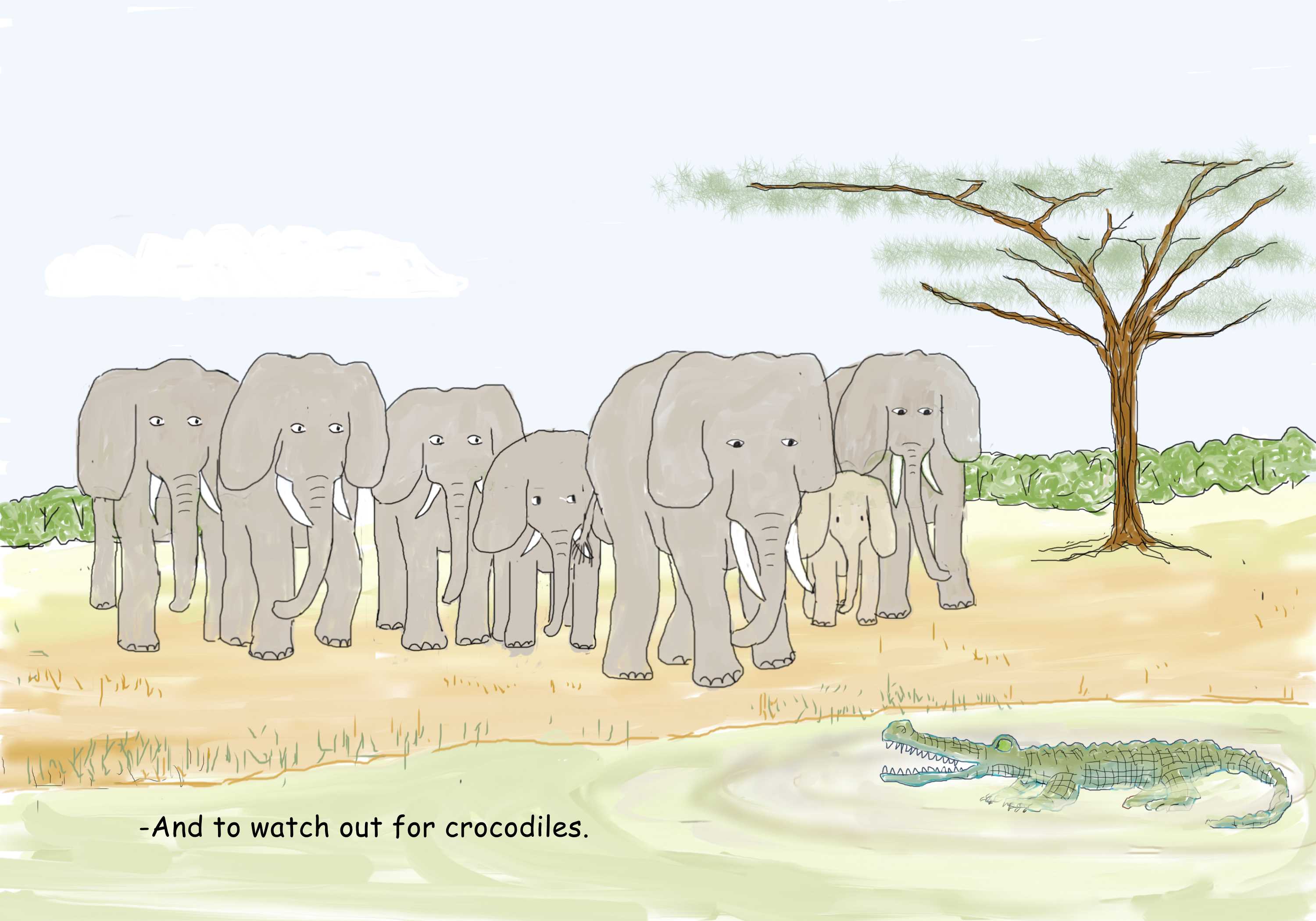 herd of elephants meeting a crocodile