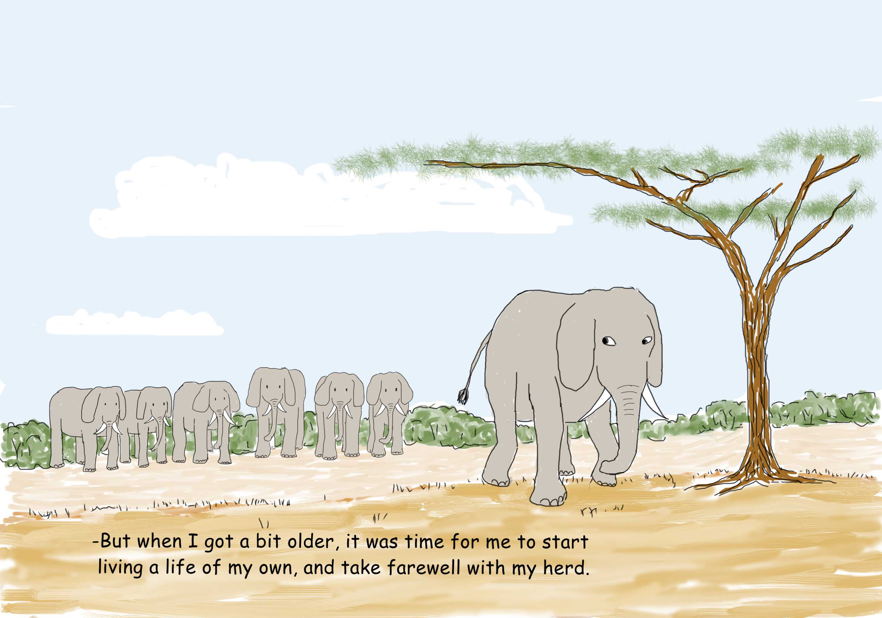 elephant taking farewell with its herd