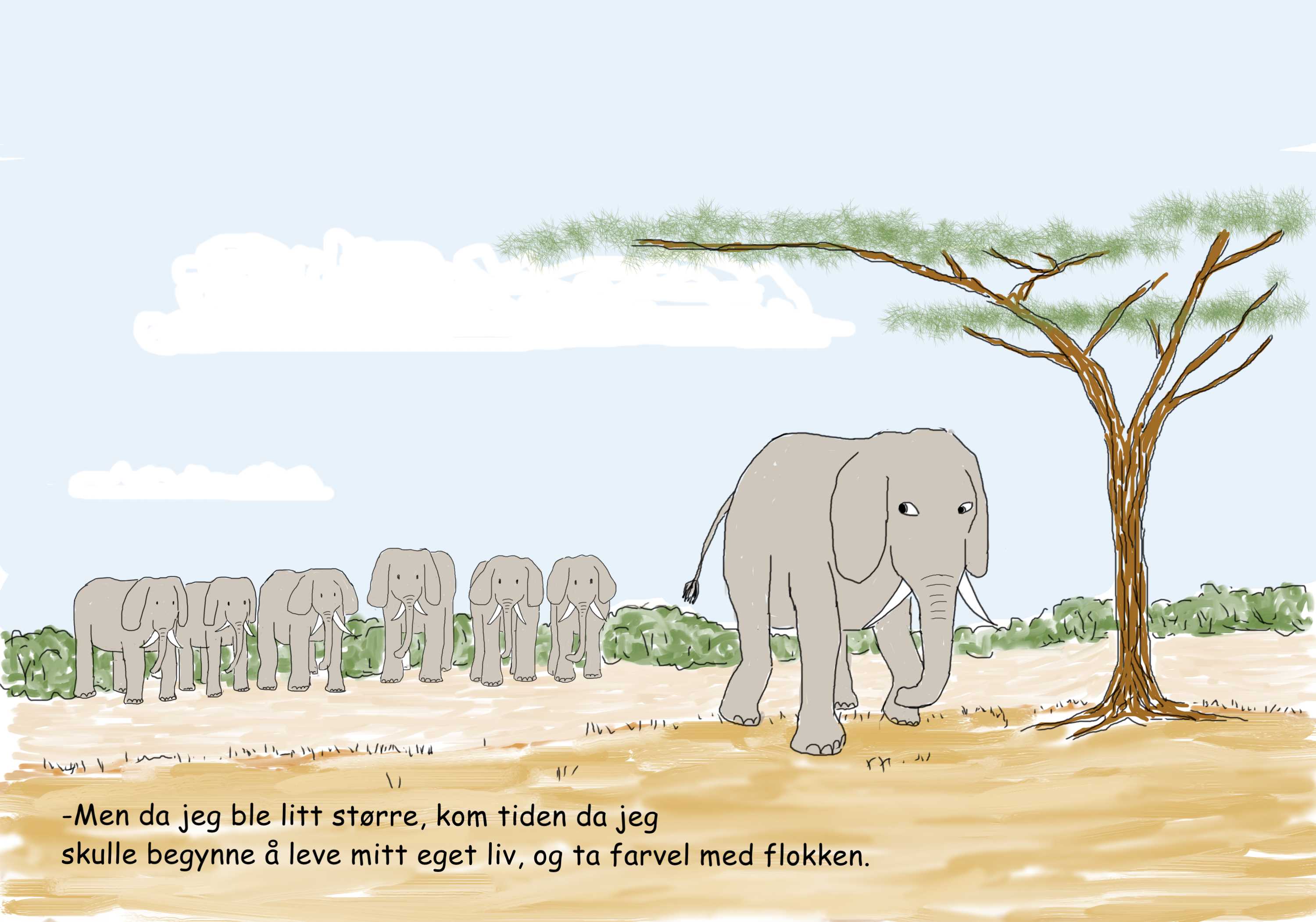 elefant forlater flokk