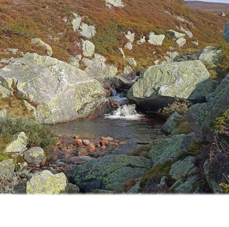 fjellbekk